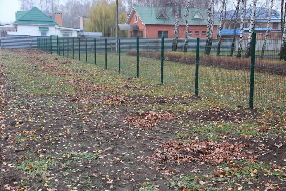 Під Полтавою у ліцеї вкрали 36 посаджених дерев на 10 тисяч. ФОТО
