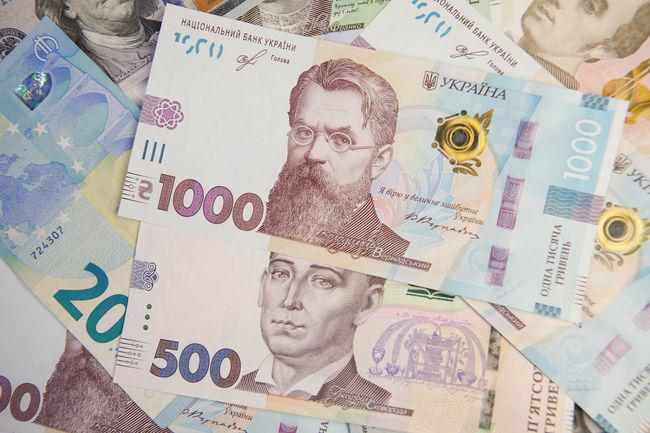 В Україні за пів року зменшився розмір субсидій