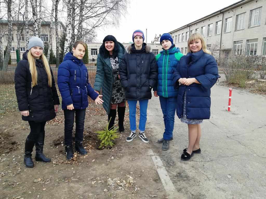 Ліцей під Полтавою, де двічі крали дерева, висадив подаровані ялинки. ФОТО