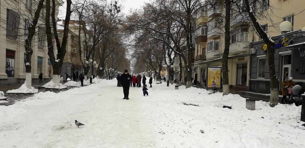Новорічно-різдвяний ярмарок у Полтаві – цьогорічні особливості