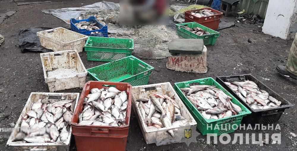 Пів тонни незаконно виловленої риби вилучила поліція Полтавщини в рибалок
