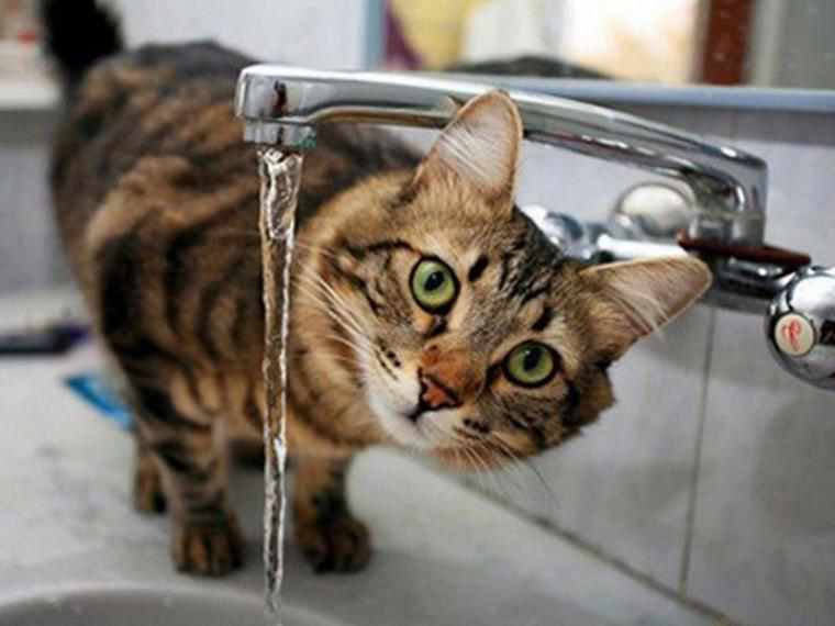 Сьогодні у центральній частині Полтави будуть перебої з водопостачанням