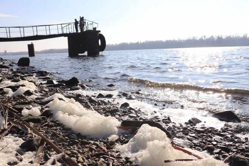 На берег Дніпра на Полтавщині викинуло багато мертвої риби