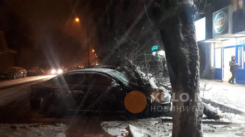 Біля АТБ у Полтаві дерево привалило три машини. ФОТО