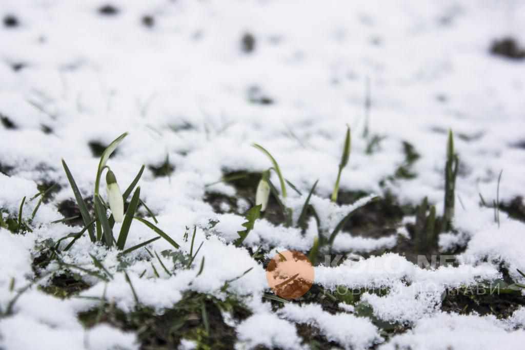 Сильний вітер і похолодання: яка погода чекає полтавців на вихідних