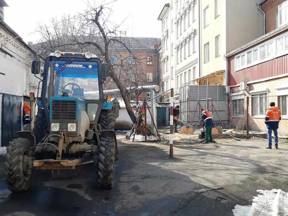 Ситуація зі спилюванням дерев у Полтаві: що каже влада