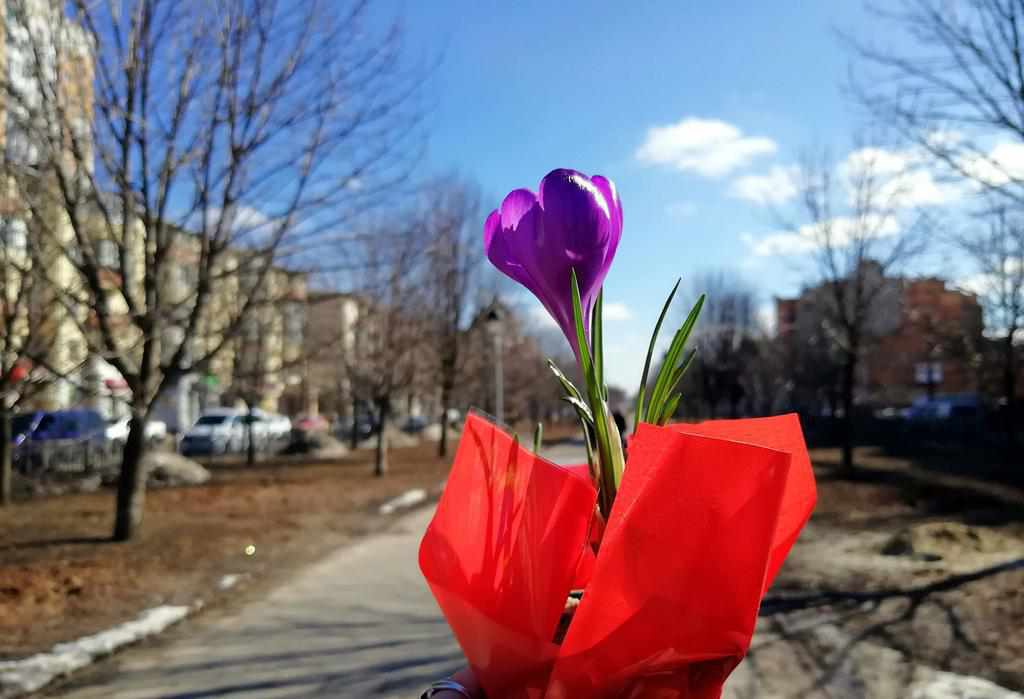 У Полтаві до 8 Березня торгівлю квітами «окультурять»: замість стихійної торгівлі – алея квітів на центральній вулиці
