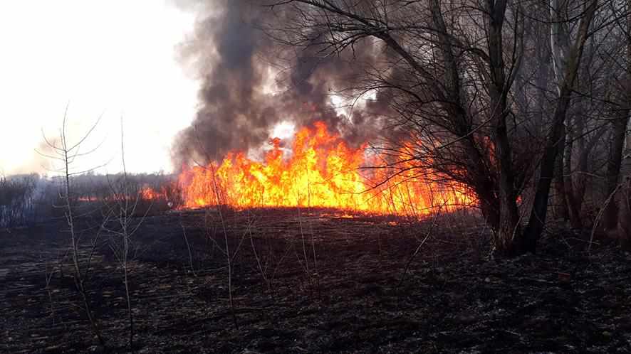 На Полтавщині почали випалювати траву: рятувальники уже ліквідували до десяти пожеж. ВІДЕО