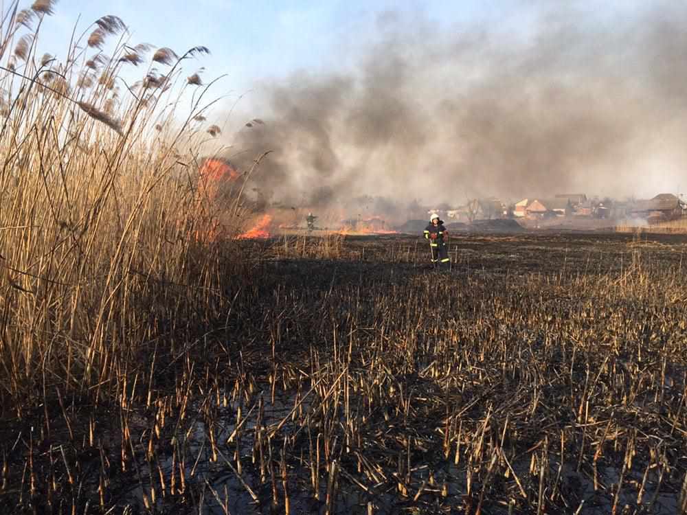 На Полтавщині за минулу добу сталися 24 пожежі на відкритій території