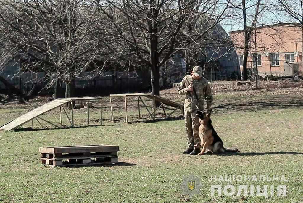 У селах під Полтавою злодії обносили дачі: їх спіймали на гарячому