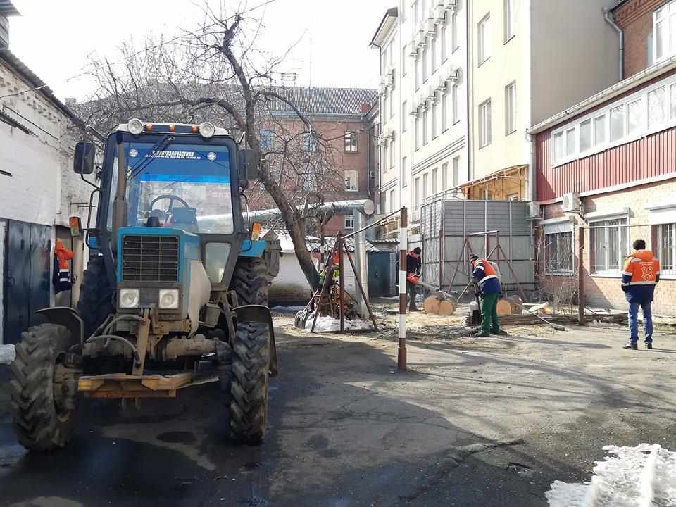 У Полтаві планують спиляти дерев на мільйон гривень