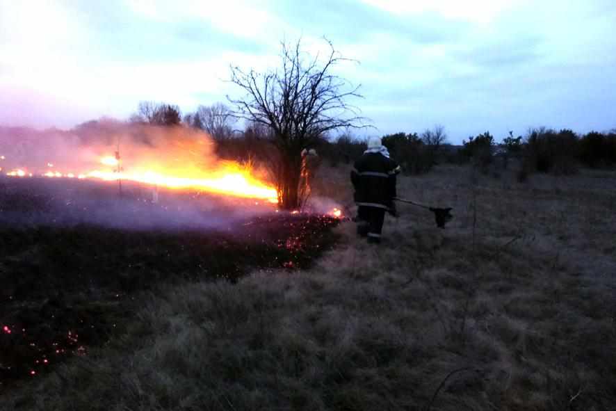 Катастрофічна кількість пожеж в екосистемах: за минулу добу полтавські вогнеборці ліквідували 39 випадків