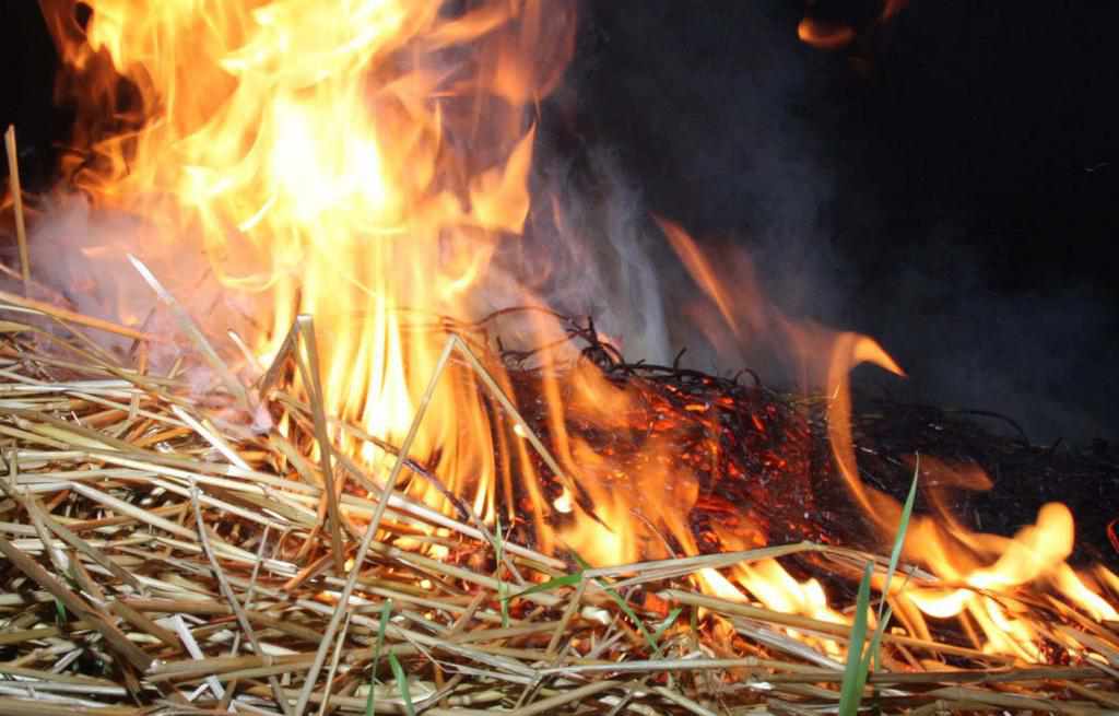 На Полтавщині жінка, спалюючи сміття, ледь не підпалила будинок сусідів