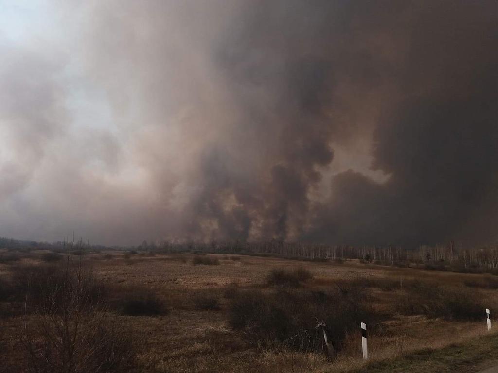 Полтавські рятувальники гасять палаючі ліси в Чорнобильській зоні. ФОТО