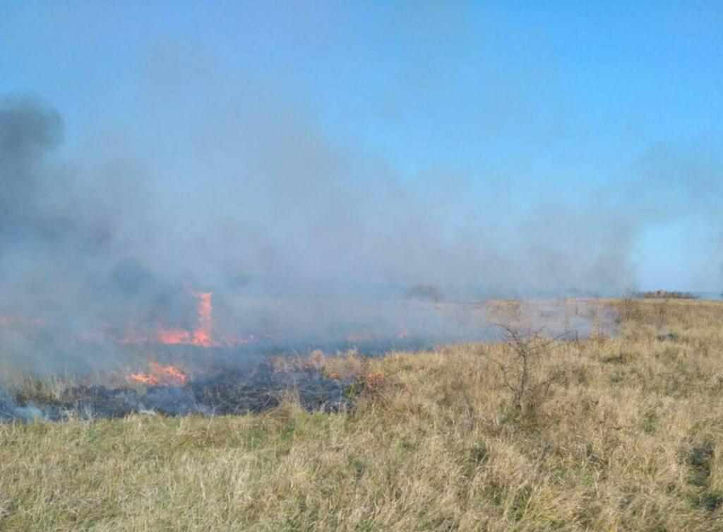 Палали суха трава та торф: на Полтавщині згоріло кілька десятків гектарів