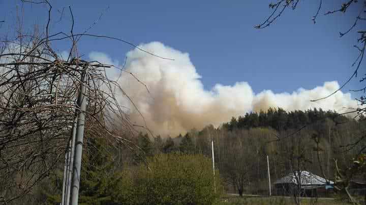 На Полтавщині палає сосновий ліс: горить близько 30 гектарів. ВІДЕО