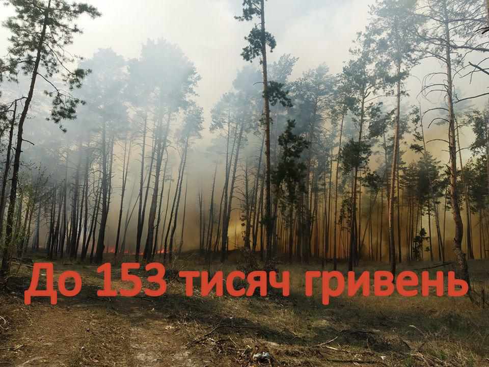 В Україні у 18 разів зросли штрафи за підпал сухостою 