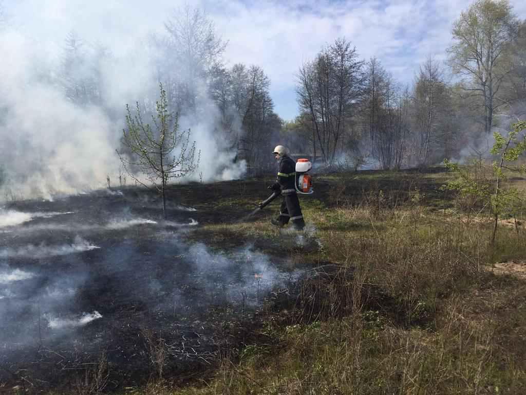 На Полтавщині за добу сталося вісім пожеж на відкритих територіях