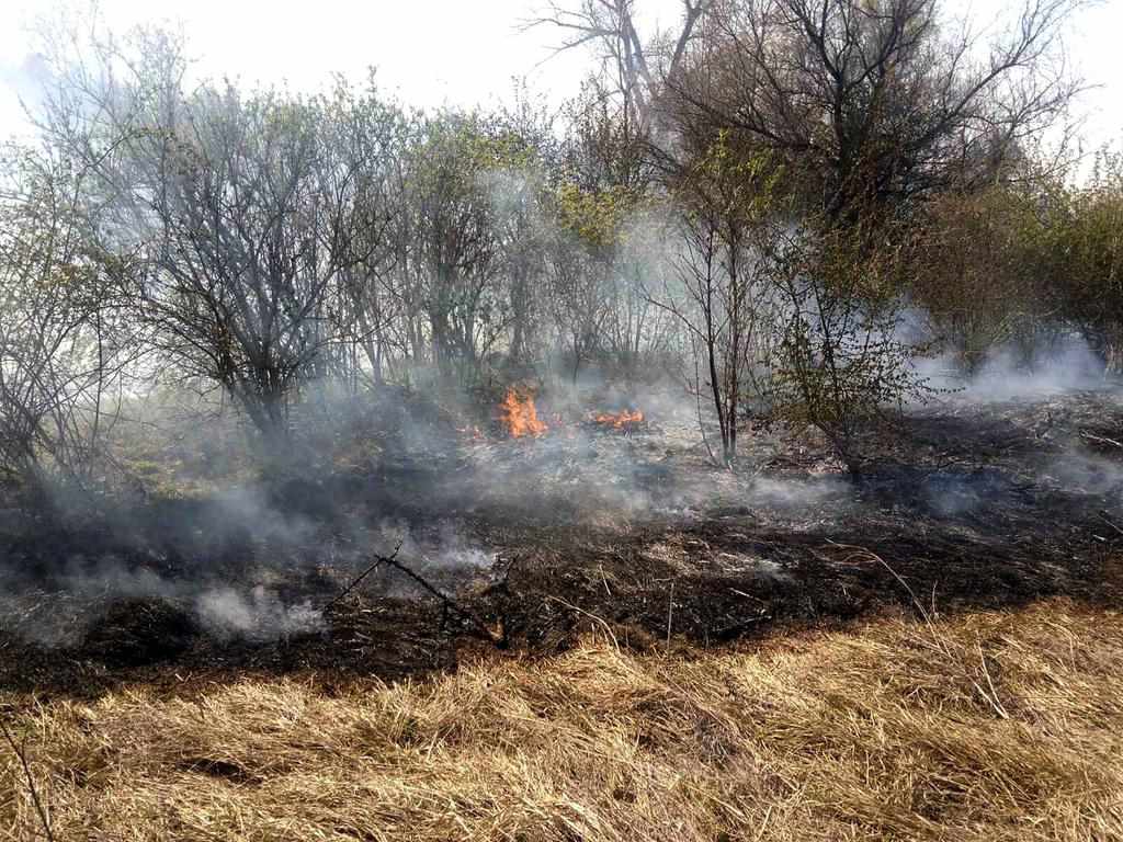 На Полтавщині продовжує горіти торфяник: людей закликають не палити сміття і траву
