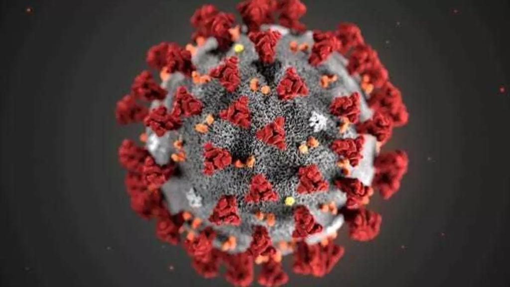 Фейки про коронавірус: спростування найпоширеніших