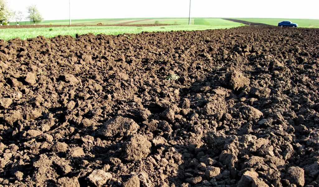 На Полтавщині громаді повернули землю вартістю більше 600 тисяч гривень