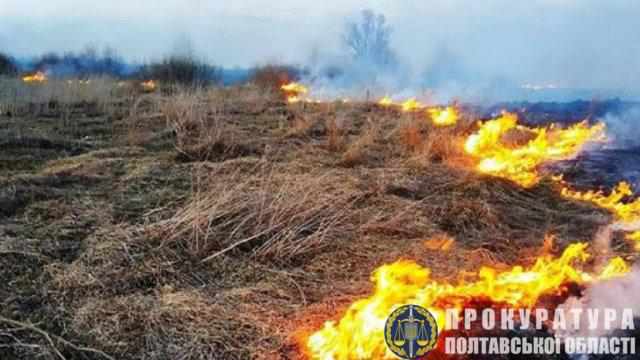 На Полтавщині судитимуть чоловіка за підпал сухої трави 