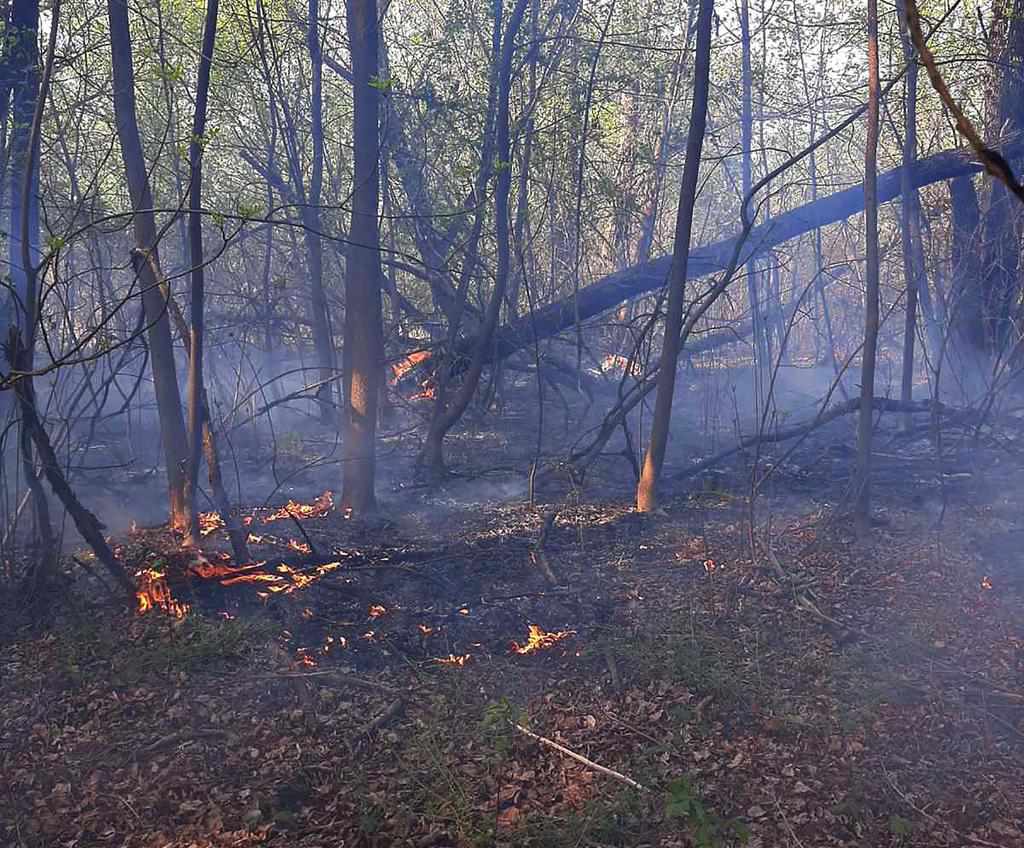 За минулу добу на Полтавщині згоріло 14 гектарів сухої трави
