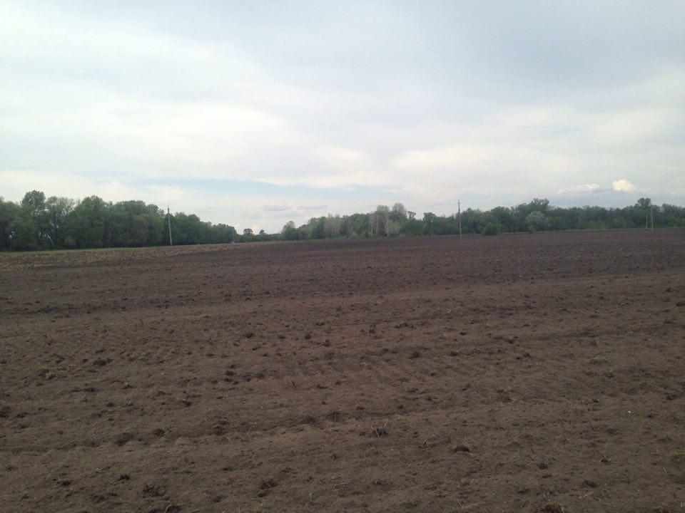 На Полтавщині в кількох районах розорюють луки, селяни протестують. ВІДЕО