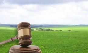 На Полтавщині прокуратура через суд намагається повернути землю вартістю 17 мільйонів