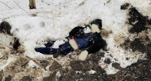 На Полтавщині суд виніс вирок жінці, яка побила чоловіка та залишила помирати в снігу