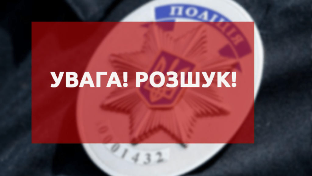 Поліція Полтави розшукує зниклу Олену Ліпіну