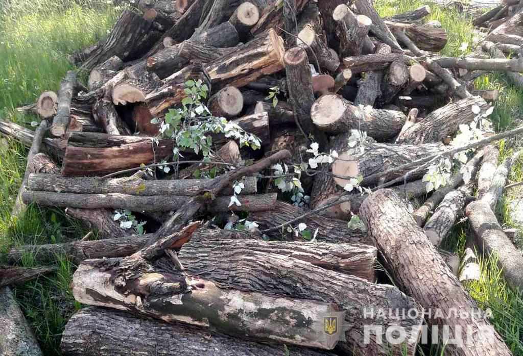 На Полтавщині чоловік незаконно вирубував дерева  