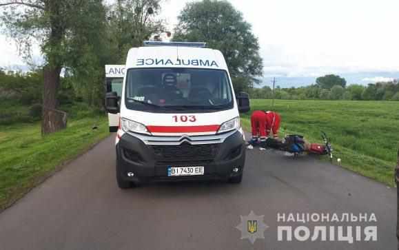 На Полтавщині через собаку, який вибіг на дорогу, загинув мопедист