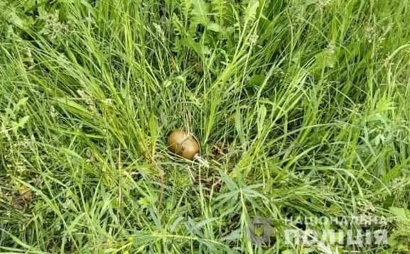 На Полтавщині біля озера знайшли гранату
