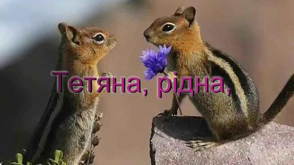 Де погуляти 25 січня: афіша для Тетян і студентів