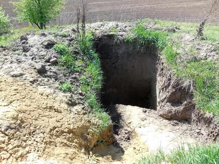 На Полтавщині люди не мали за що поховати померлу родичку: могилу зробили у дворі