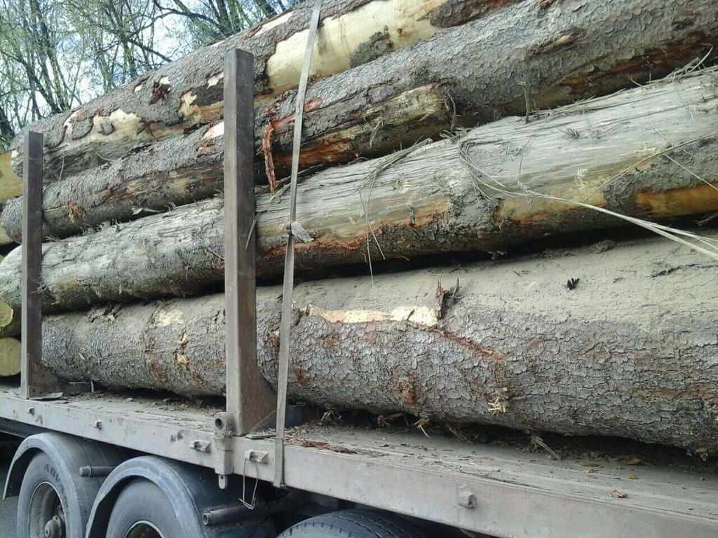На Полтавщині затримали чоловіка, який незаконно перевозив деревину 