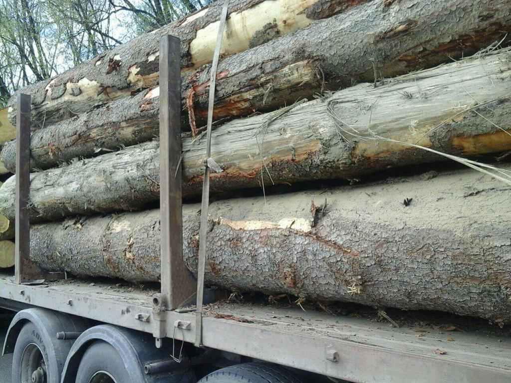 На Полтавщині затримали чоловіка, який незаконно перевозив деревину
