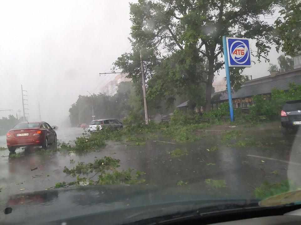 Короткочасна негода у Полтаві ламала гілки й дерева. ФОТО