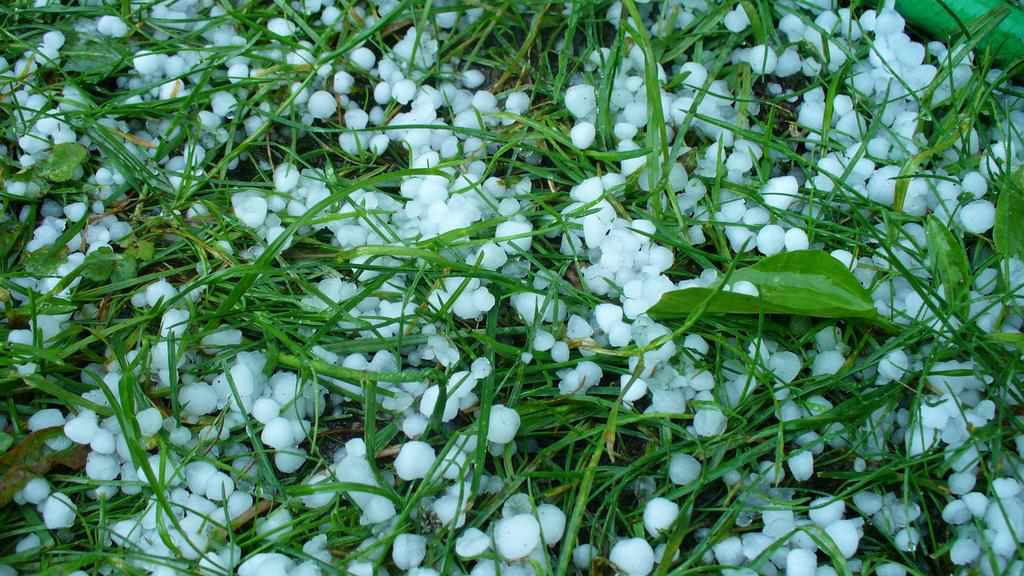 У найближчу годину на Полтавщині очікують грозу, місцями град