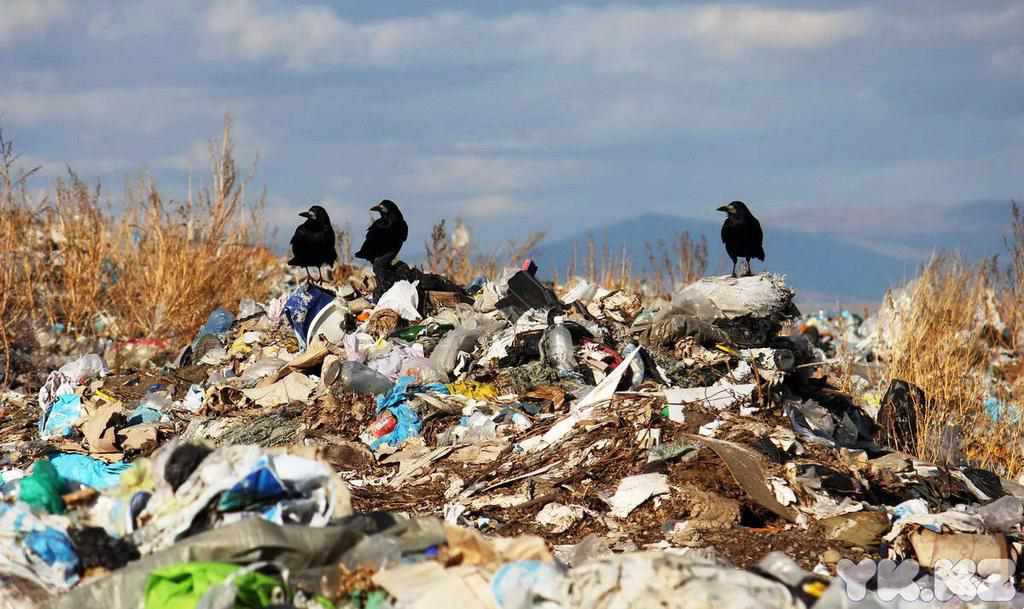 Сортувальна лінія і можливе закриття Макухівського смітєзвалища: у Полтаві за 200 мільйонів вирішуватимуть проблему твердих відходів  