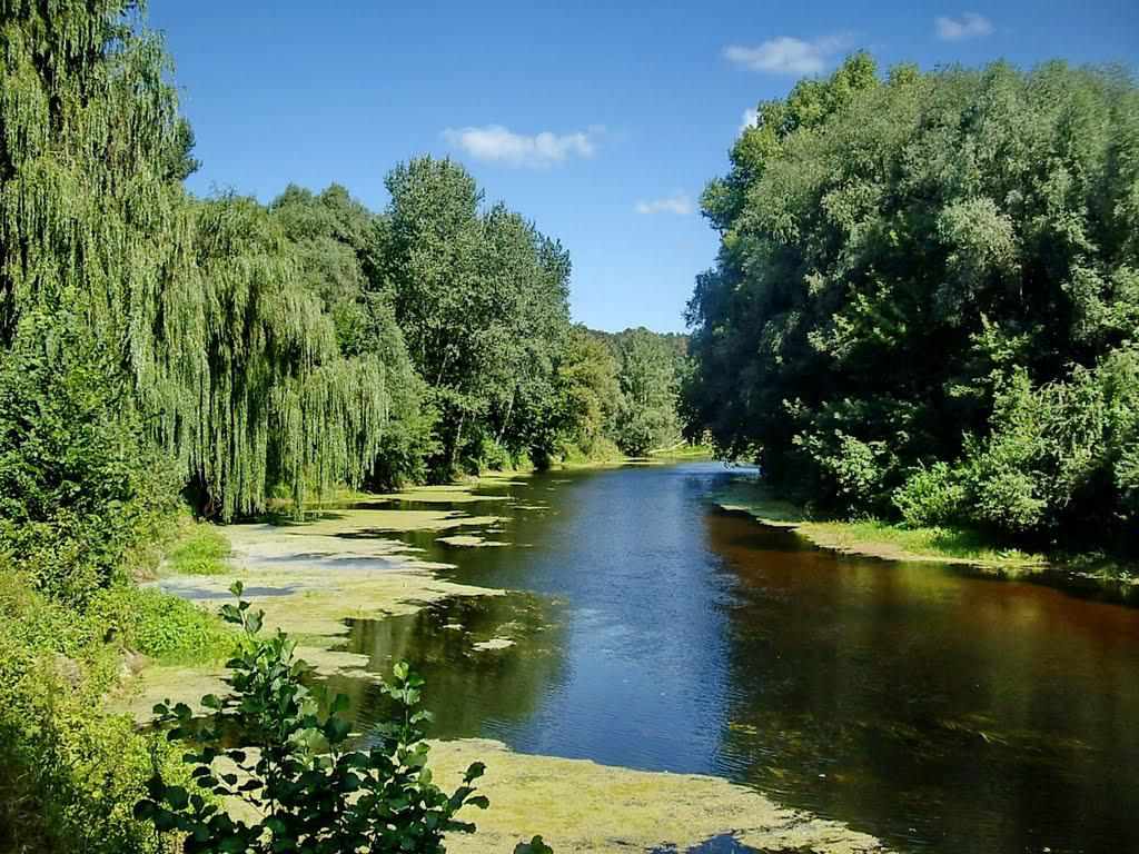 На Полтавщині жінка підняла на ноги поліцію, знайшовши одяг чоловіка біля річки