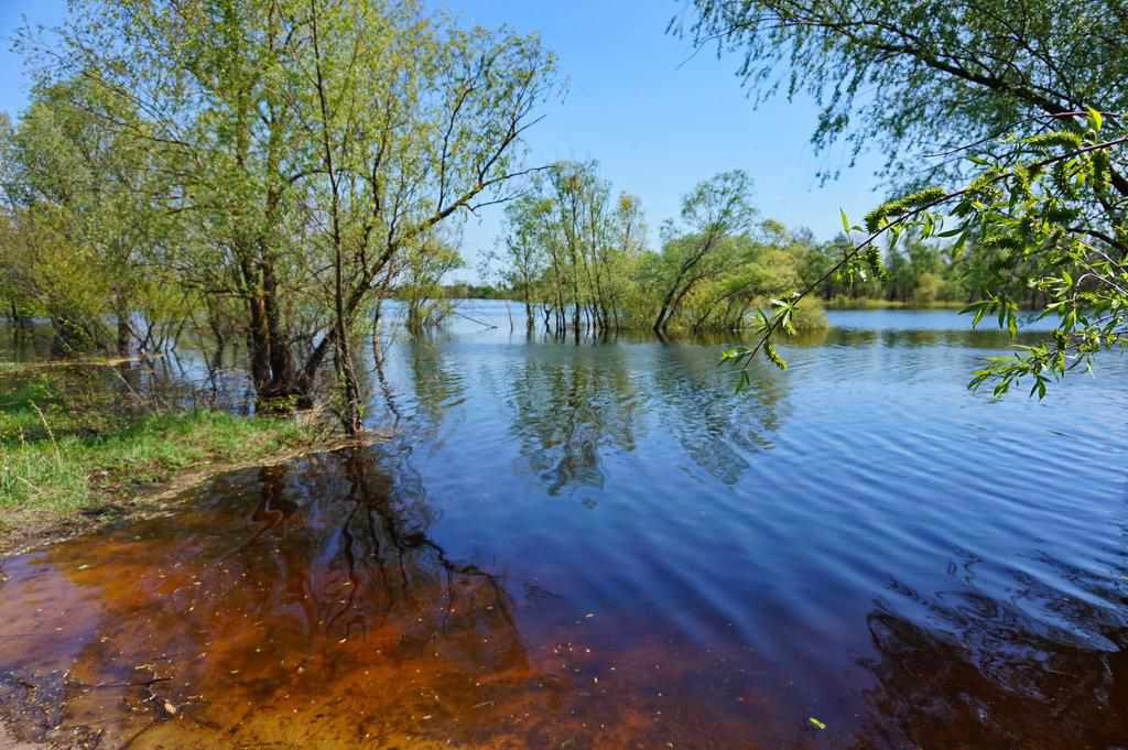 На Полтавщині потонув чоловік, пошуки ще одного ймовірно потонулого продовжуються