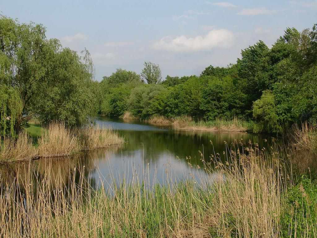 Чоловік на Полтавщині ледь не втопився після вживання алкоголю