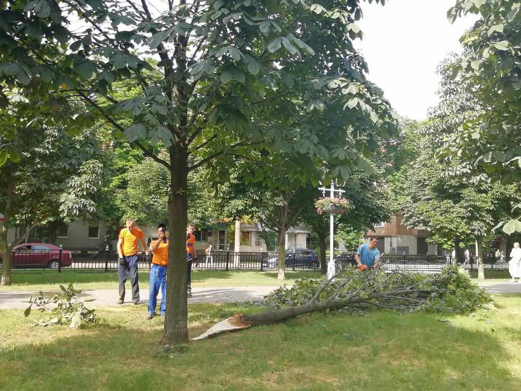 На Каштановій алеї в Полтаві упало дерево: 26 викликів на ліквідацію наслідків негоди. ФОТО