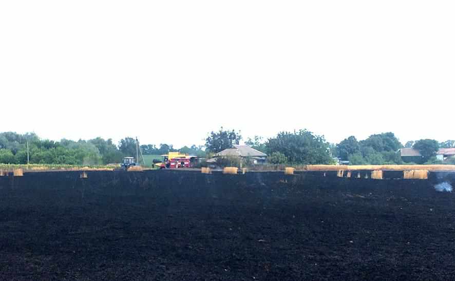На Полтавщині загорілося поле пшениці