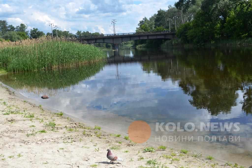 Рівень кишкової палички на пляжах Полтави подекуди перевищує норму в 5 разів