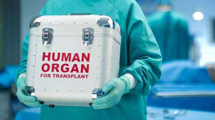 Полтавська лікарня відтепер робитиме операції по трансплантації нирок 