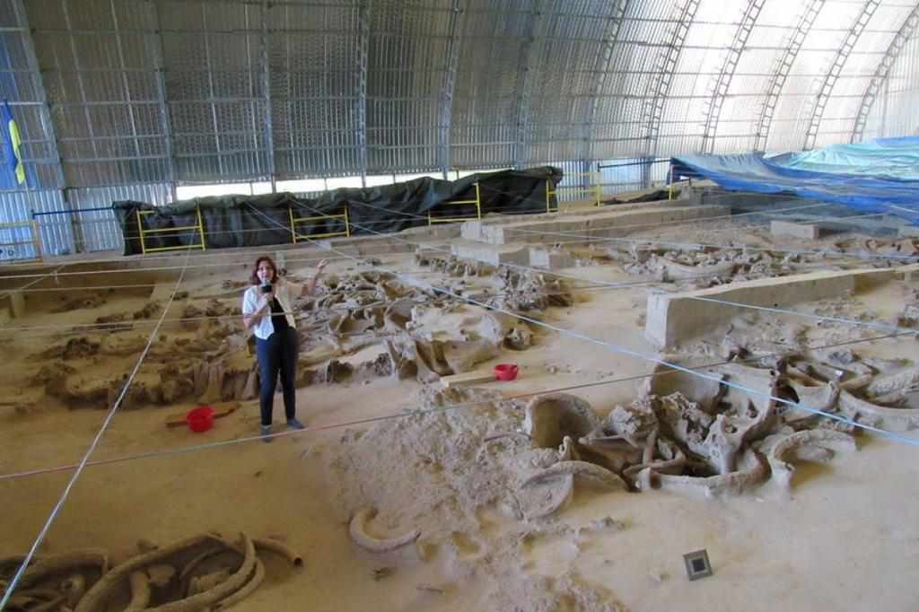 Поселення з кісток мамонта і побут мисливців: на Полтавщині на день для відвідувачів відкриють Гінцівську стоянку