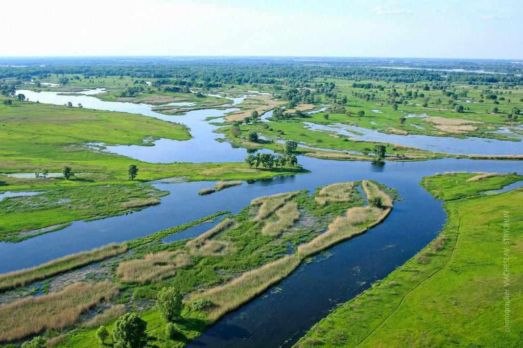 На Полтавщині горів ландшафтний заказник Білецьківські плавні. ФОТО
